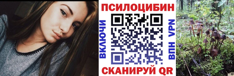 МЕГА tor Дедовск Псилоцибиновые грибы мухоморы