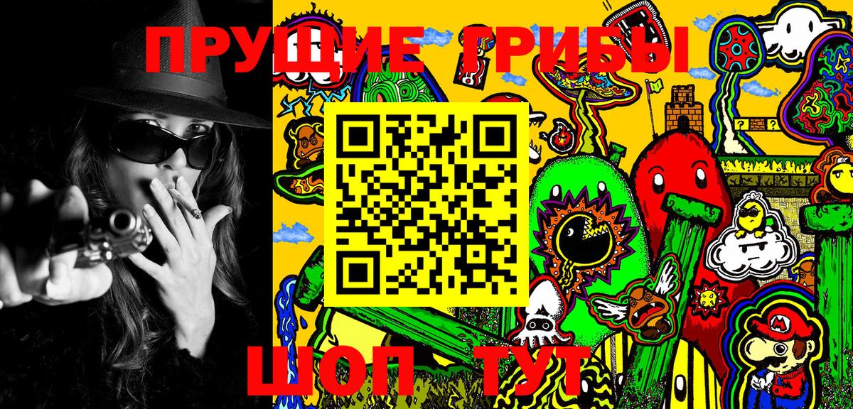 Дедовск  Псилоцибиновые грибы Psilocybine cubensis  как найти наркотики  Вход с VPN 